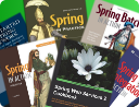 Recommended books for Spring framework