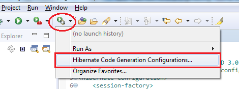 Run Hibernate Code Generation