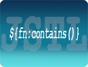 JSTL Function fn:contains Example