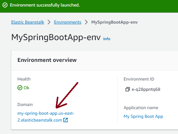 Environment overview click Domain