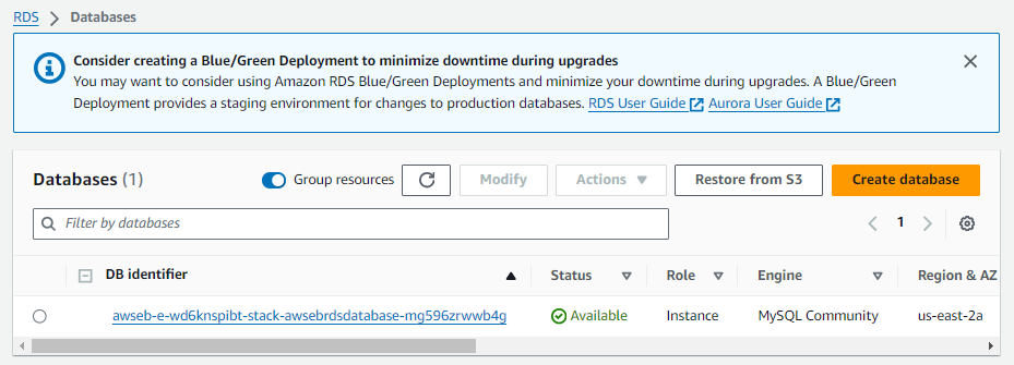 RDS database instance