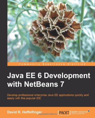 JavaEE6NetBeans