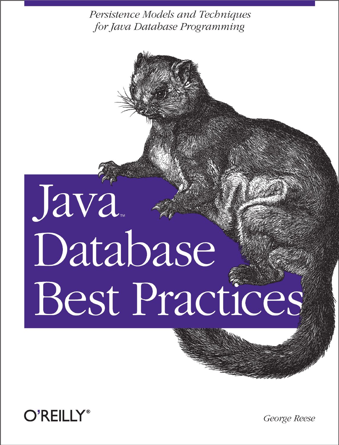 JavaDatabaseBestPractices