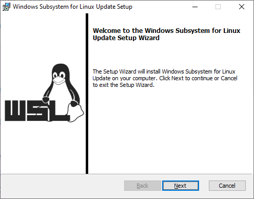 WSL2 update setup