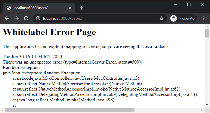 spring boot whitelable error 500