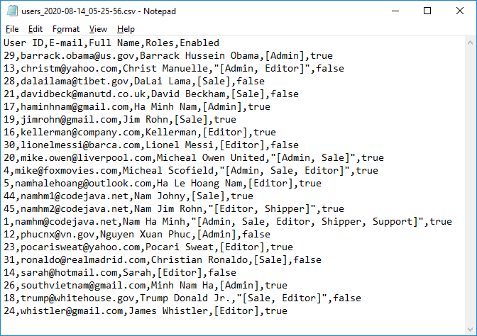 exported csv file