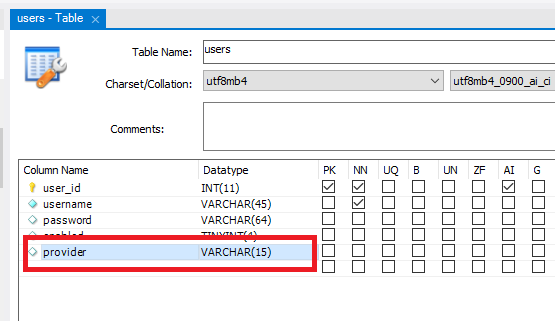 provider in users table