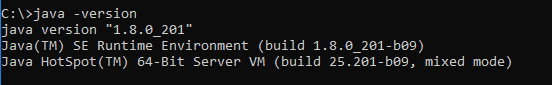 check java version console