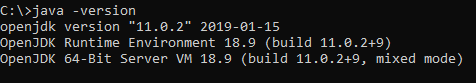 check java version openjdk
