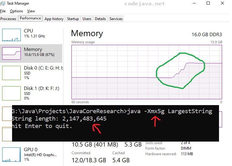 java largest string test