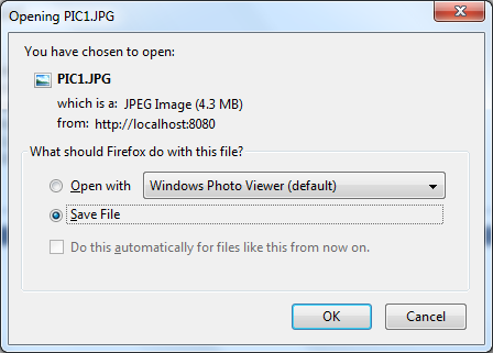 download file dialog