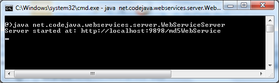 start web service server