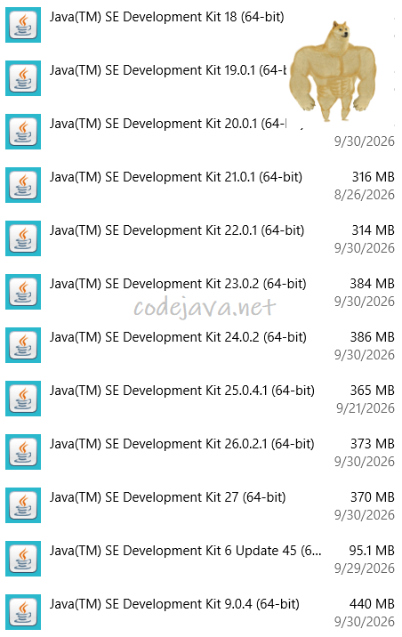 Recent versions of JDK