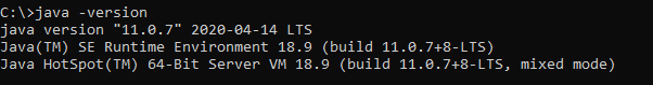 java 11 version