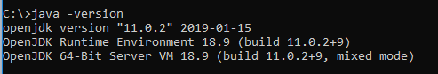 open jdk version
