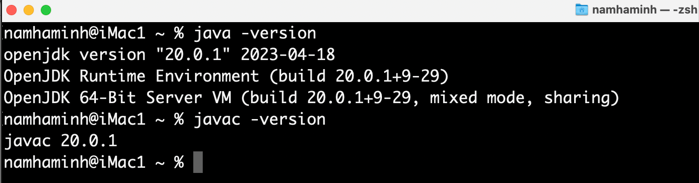 open jdk 20 version on macos