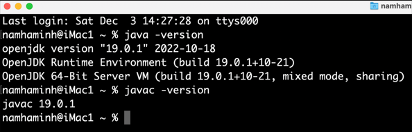 check open jdk 19 on macOS