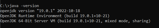 java version 19 command