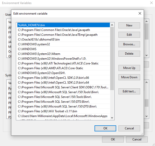 Update PATH variable to install JDK 25