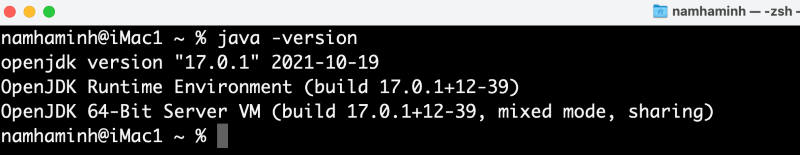 java version on macOS