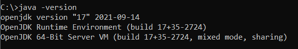 openjdk java version