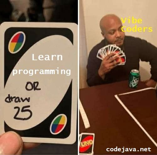 Vibe coders choose twenty five cards over one programming lesson