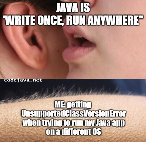 5 - Java goosebump