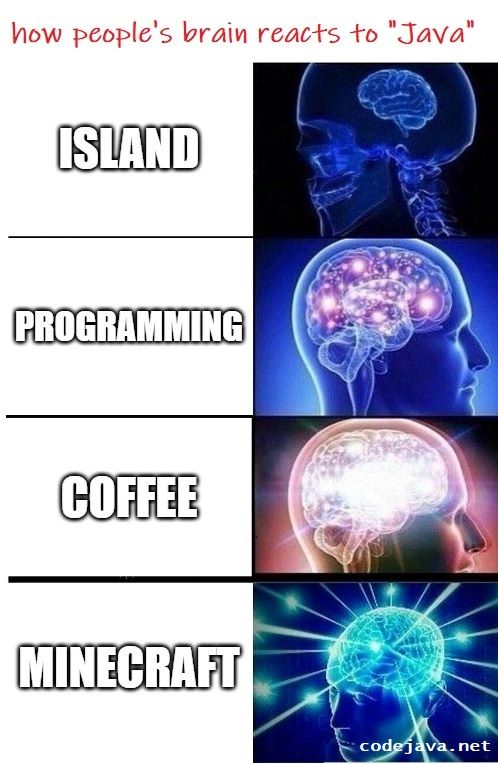 6 - brain when heard about Java