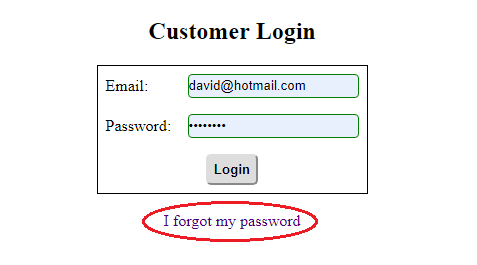 Customer Login Form