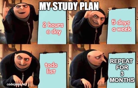 my study plan be like