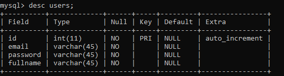 database table users