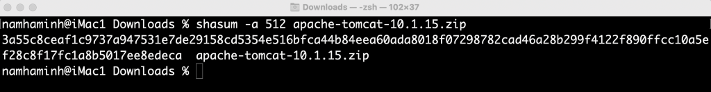 checksum zip file of Tomcat 10