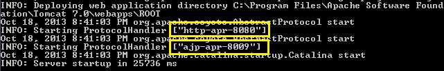 Tomcat start logs